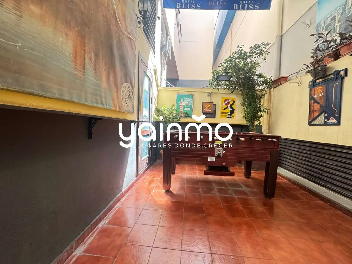 Local comercial en traspaso en Jaén - Esteban Ramírez 2, imagen 14