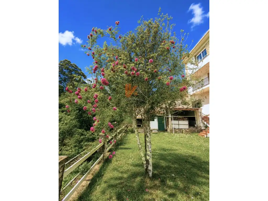 Jardí de Casa o xalet en venda en Santiago de Compostela  amb Jardí privat, Moblat i Forn