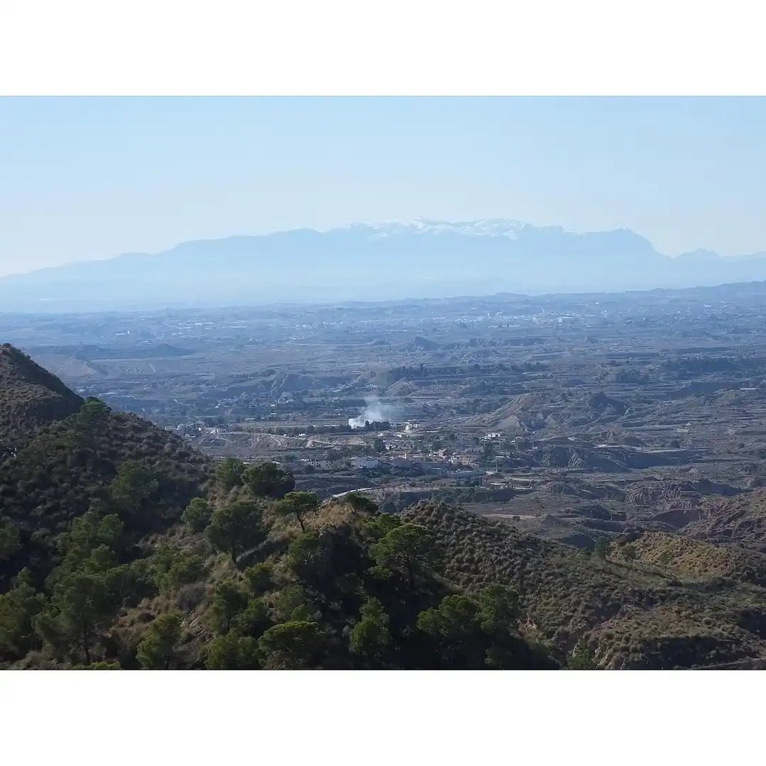 Lands and plots for sale in Abanilla, imagen 2