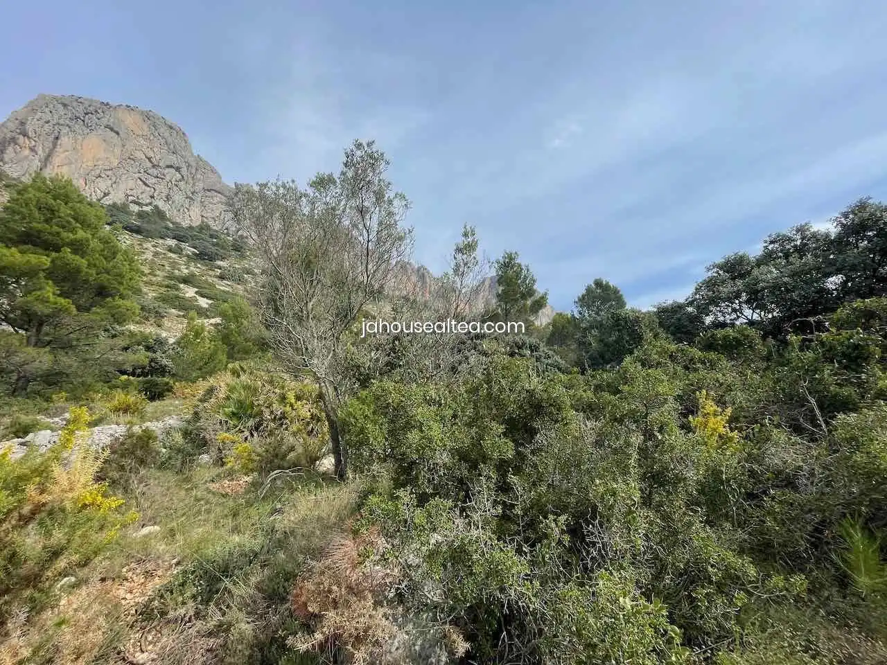 Grundstücke und Bauplätze zum Verkauf in Altea la Vella, imagen 4
