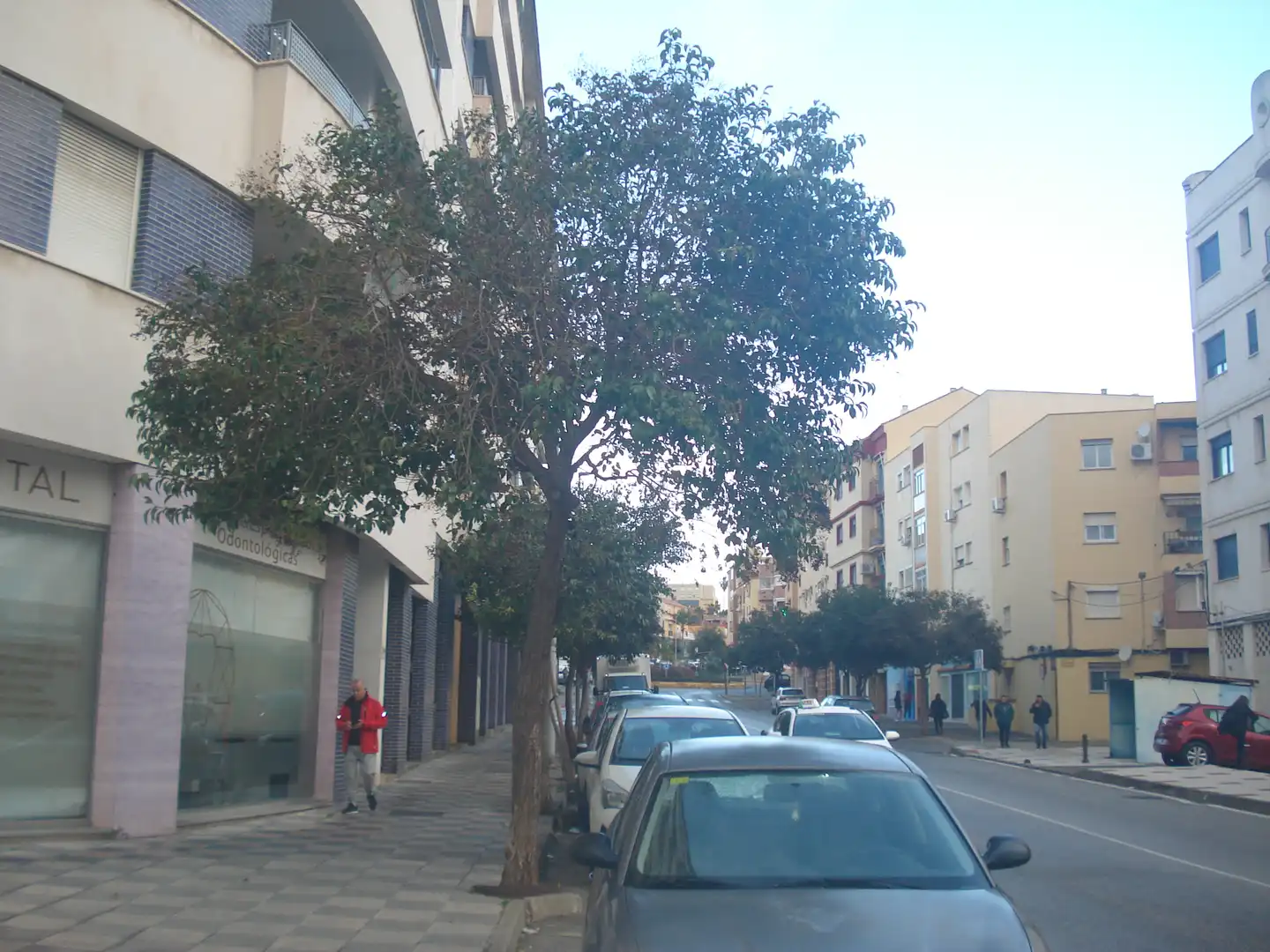 Local commercial à louer à Calle Mimosa-la Granja 8, imagen 11
