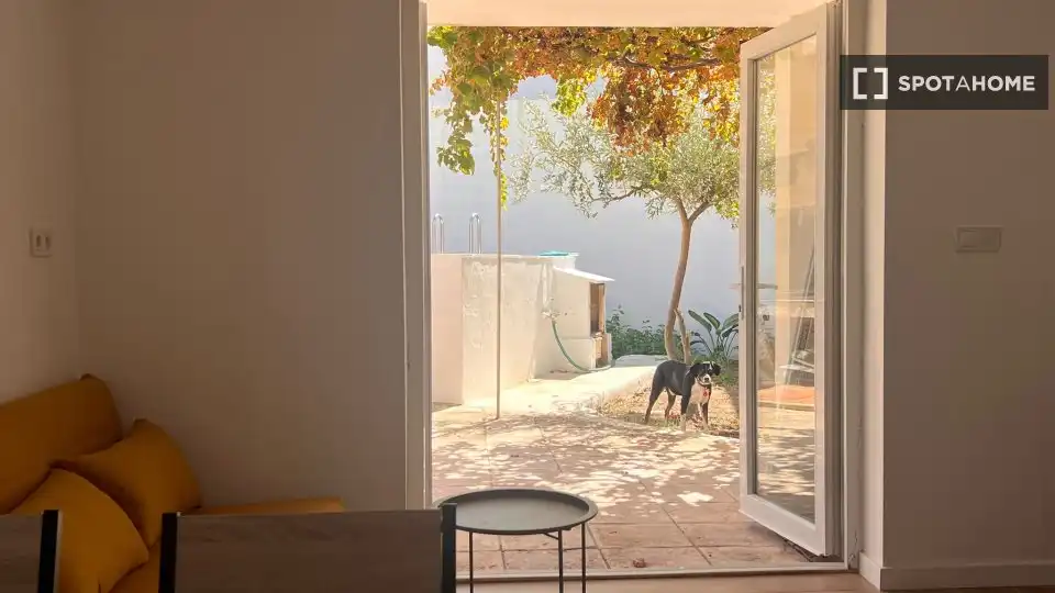 Terraza de Piso de alquiler en Oliva Playa