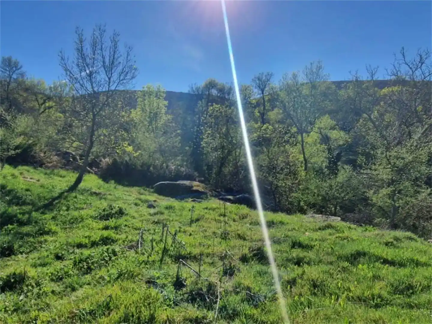 Terreno en venta en San Pablo de los Montes, Toledo
