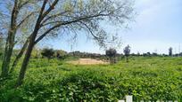 Casa o xalet en venda en Sabadell amb Aire condicionat, Calefacció i Terrassa
