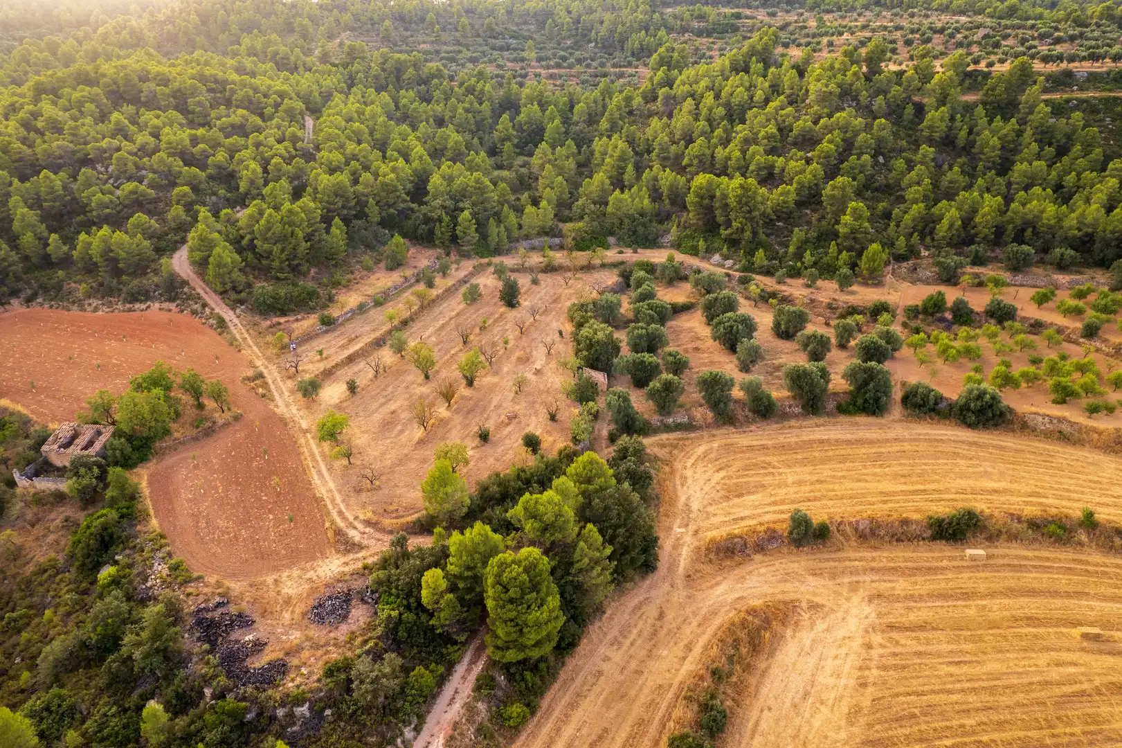 Rural land for sale in Lledó, imagen 19