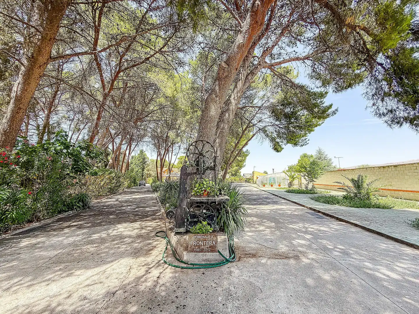 Casa o chalet en venta en Yecla