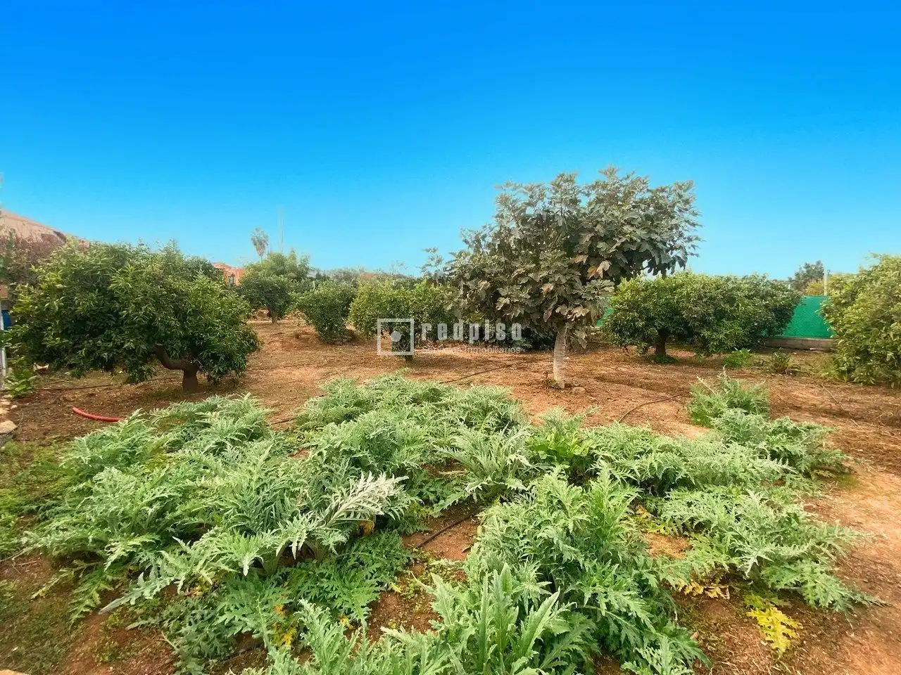 Casa o xalet en venda en Alhaurín El Grande amb Terrassa i Traster