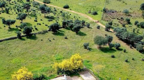 Photo 3 of Land for sale in Polígono 24 Parcela 199 Alcor de Santa Lucía. Cace, -1, Ceres Golf, Cáceres