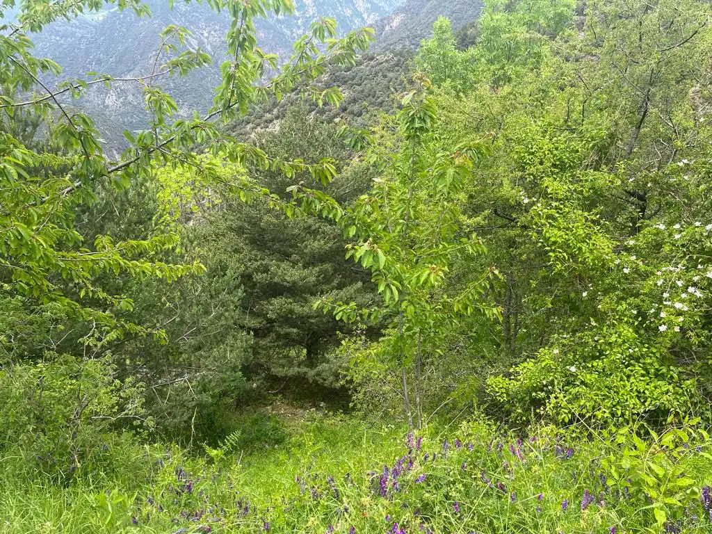 Residencial en venda en Sant Julià de Lòria