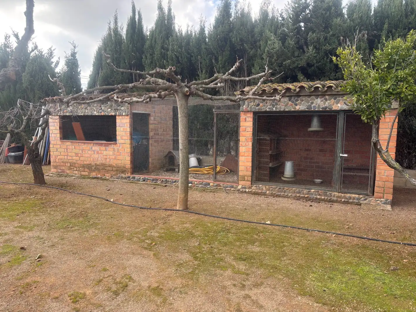 Garten von Grundstücke zum Verkauf in Reus