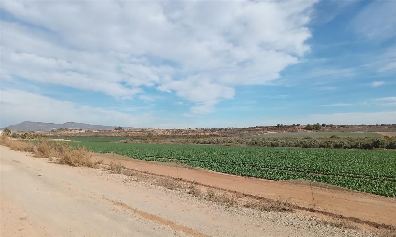 Residencial en venda en  Murcia Capital