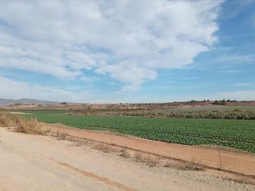 Terreno residenziale in vendita a PP GRANADOS