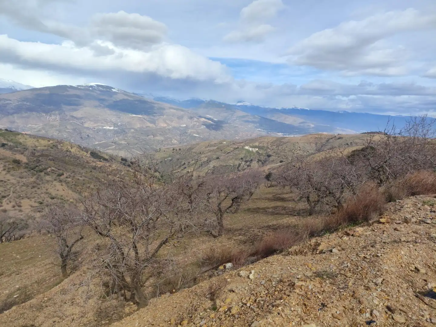 Vista exterior de Finca rústica en venta en Cástaras