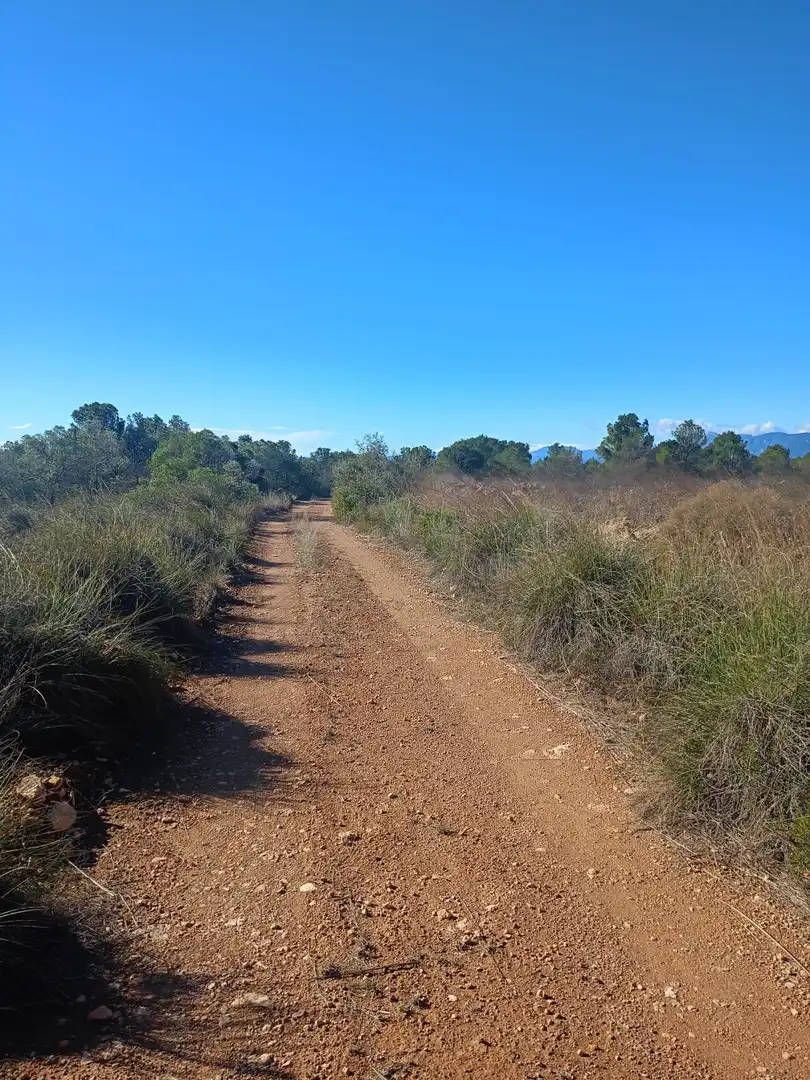 Grundstücke zum Verkauf in Lorca