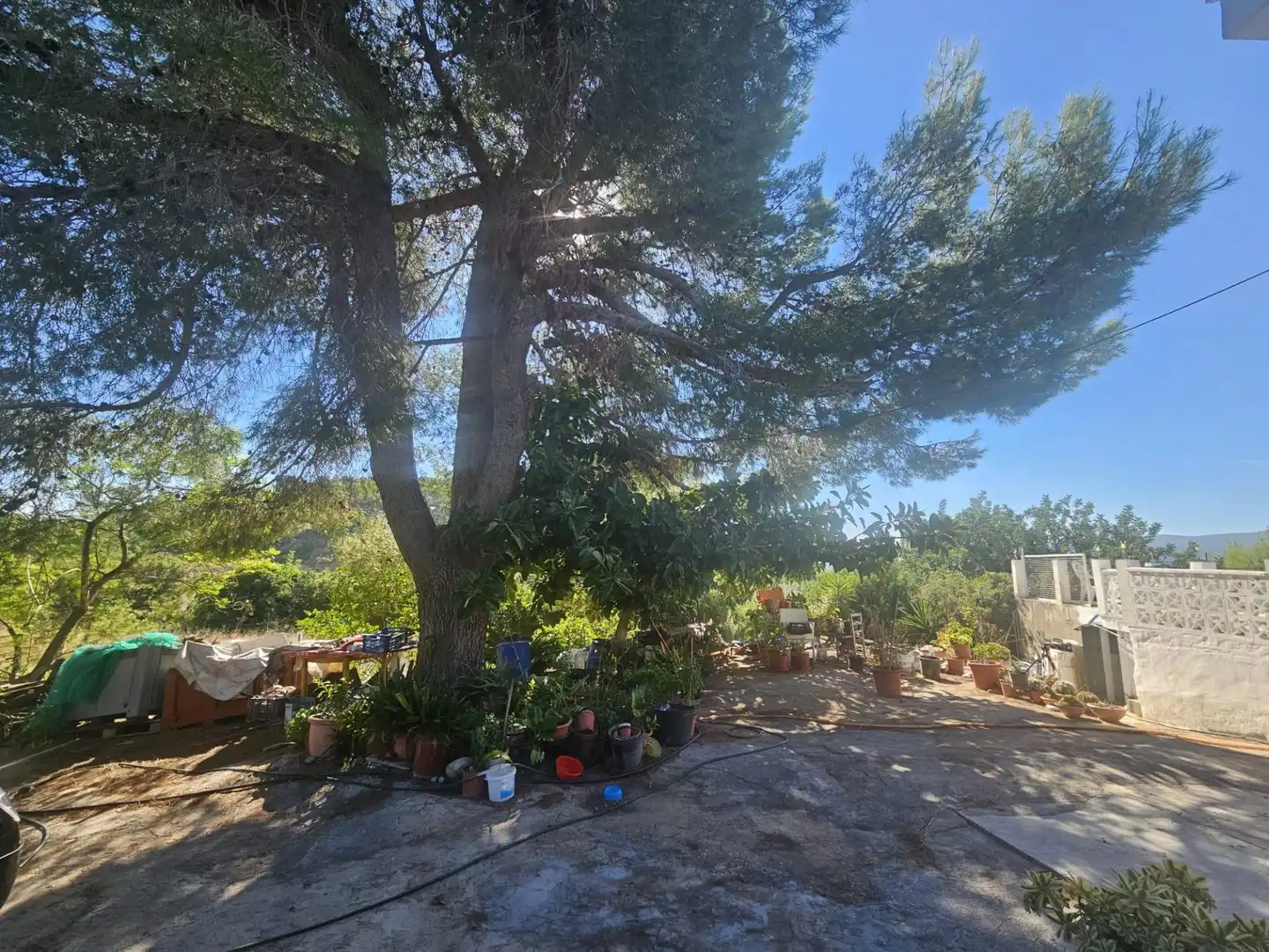 Chalet en venta en Oria, imagen 7