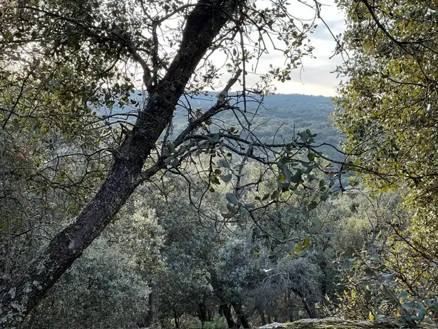 Terreno en venta en Almendral de la Cañada, Toledo