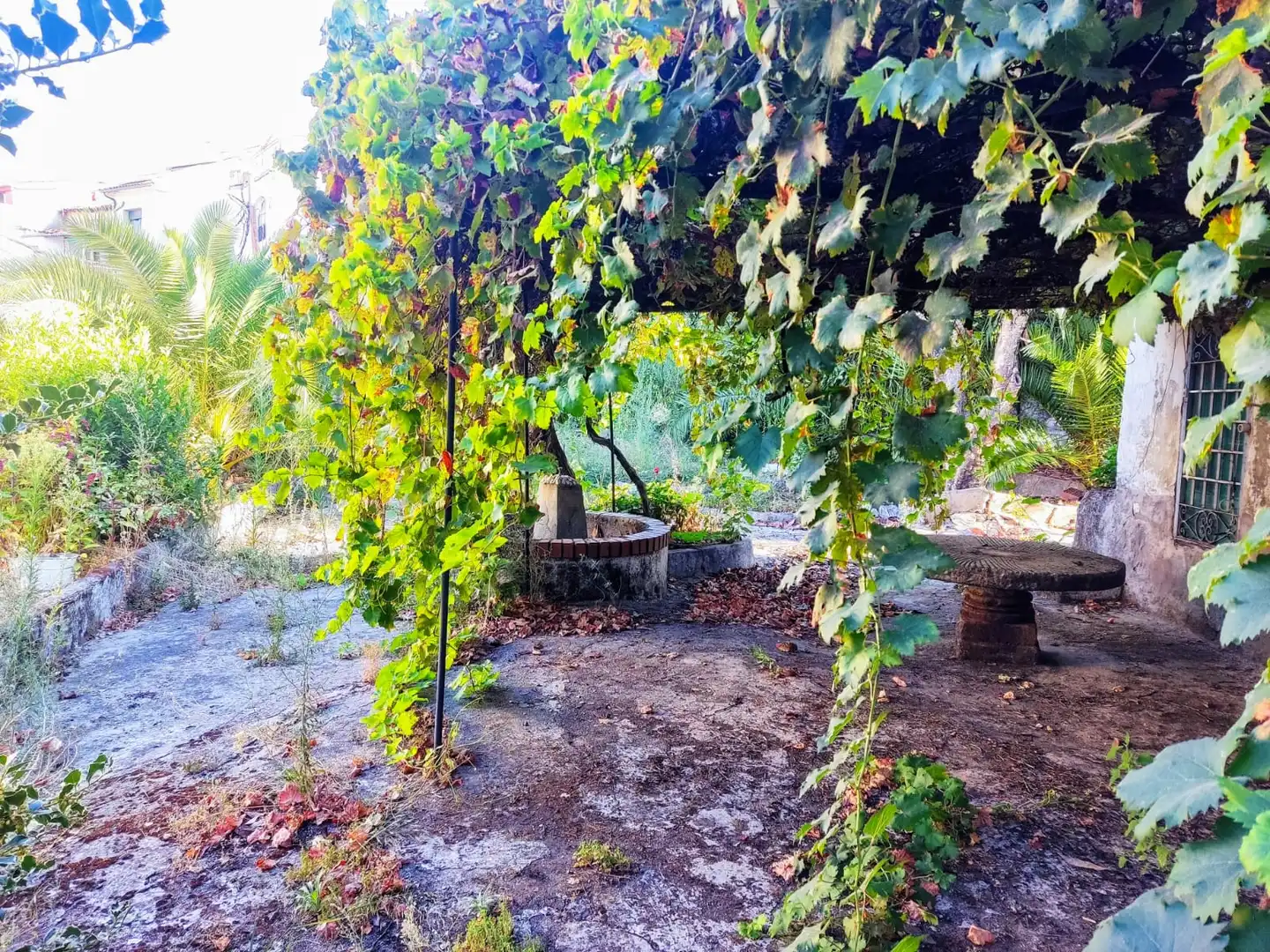 Jardí de Casa o xalet en venda en Jarandilla de la Vera amb Jardí privat