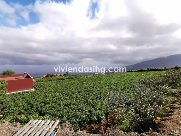 Terreno rustico in vendita a La Perdoma - San Antonio - Benijos, imagen 8