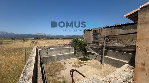Finca rústica NO edificable con caseta agrícola en Sa Pobla, immagine 3