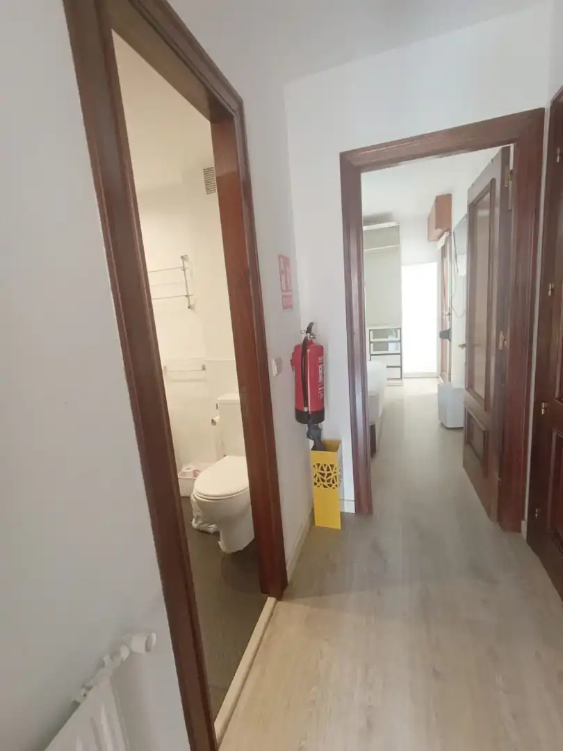 Apartments for rent in Calle Numa Guilhou, Barrio del Centro