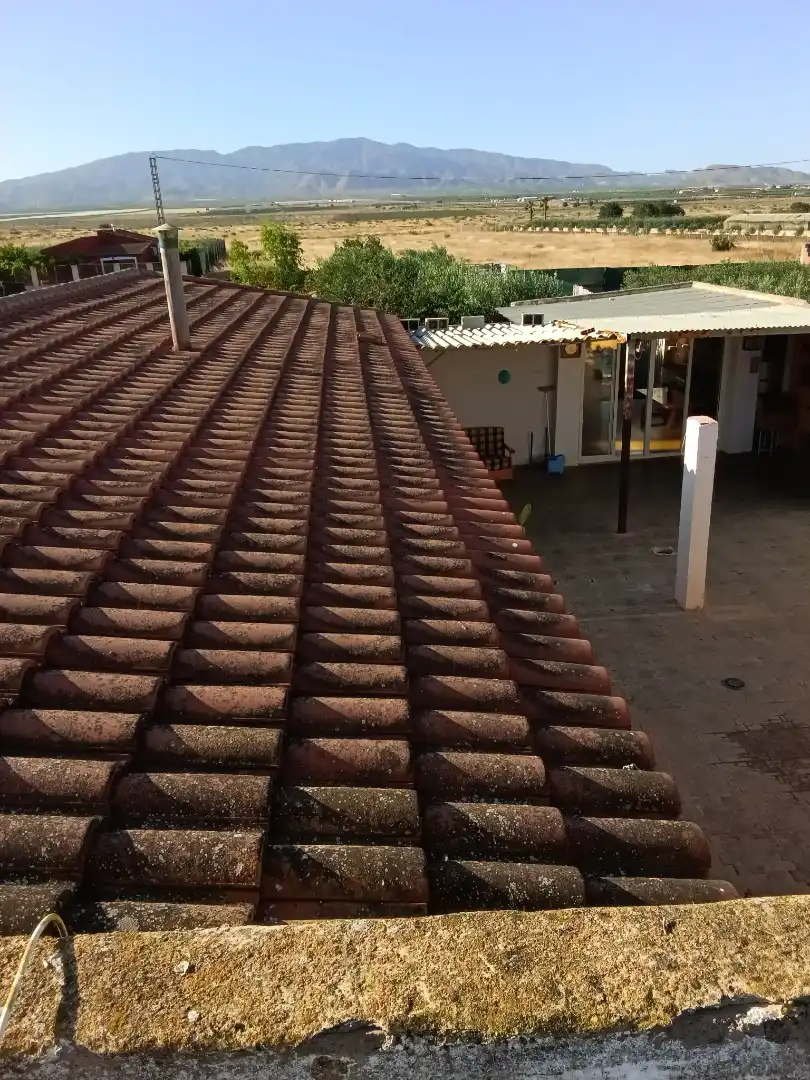 Casa con jardín en venta en Calle de los Grillos 10, imagen 45