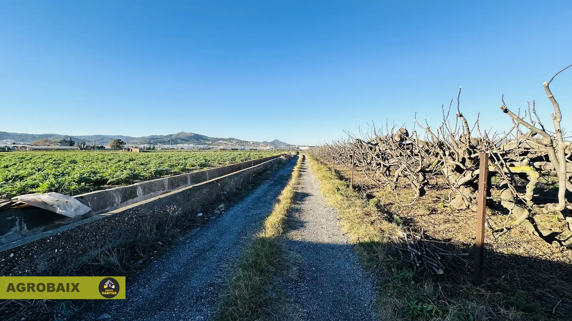 Land for sale in Sant Boi de Llobregat
