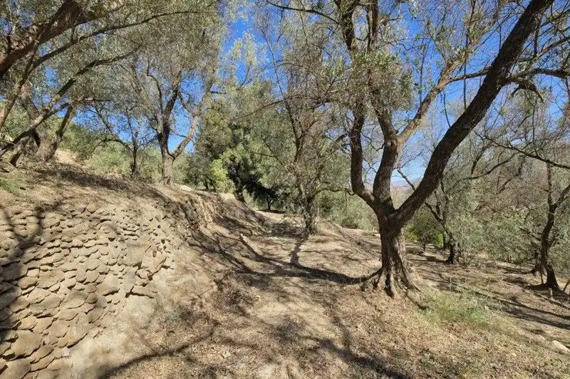 Terreno rustico in vendita a El Pinar, imagen 18