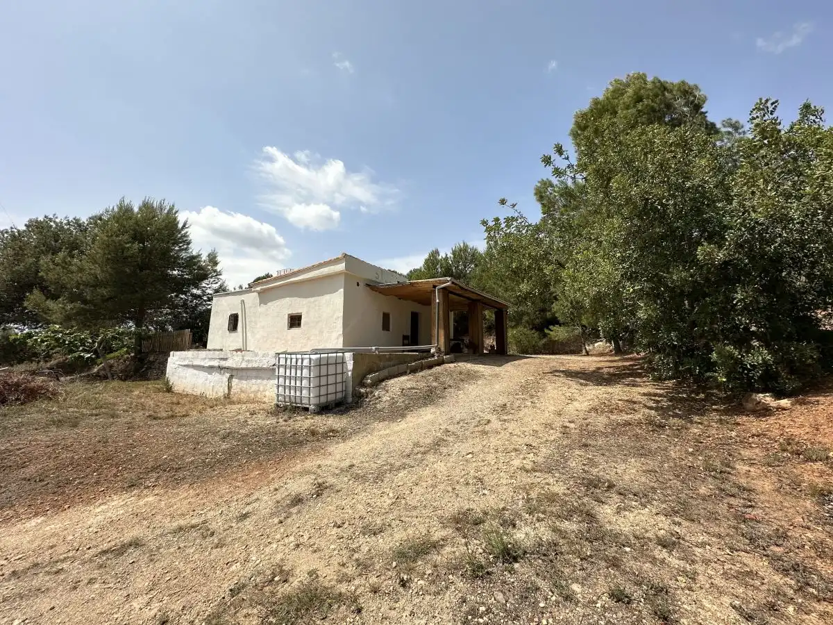 Exterior view of Houses for sale in Algar de Palància  with Terrace and Storage room