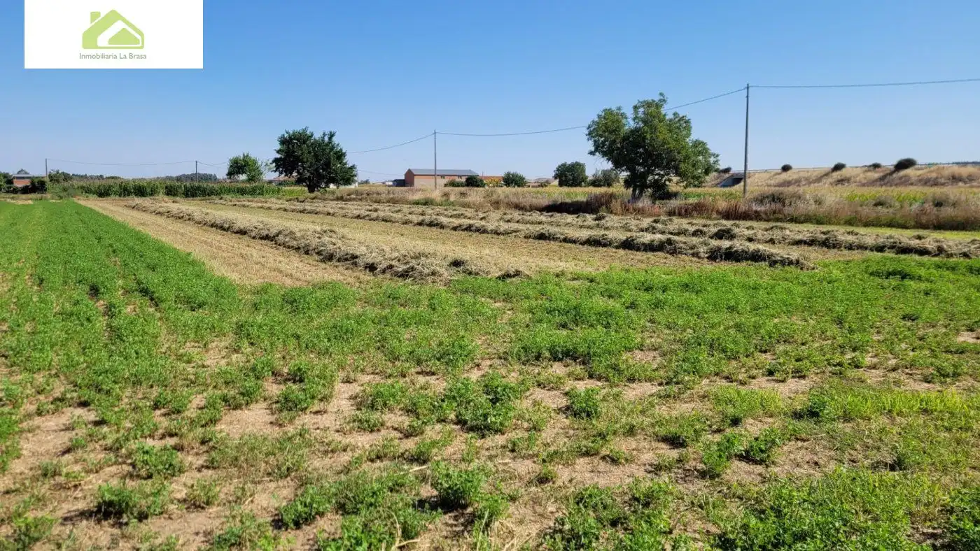 Finca rústica en venda en Zamora Capital 