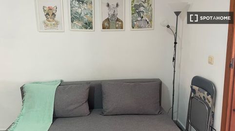 Foto 5 de Habitació a Avenida Habaneras - Curva de Palangre, Torrevieja