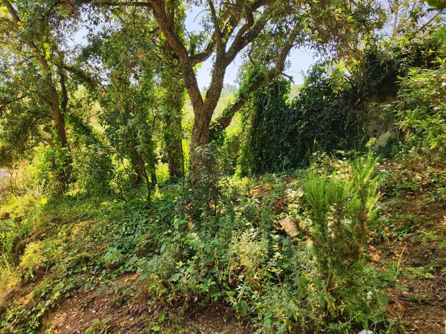 Lands and plots for sale in Llagostera, imagen 10