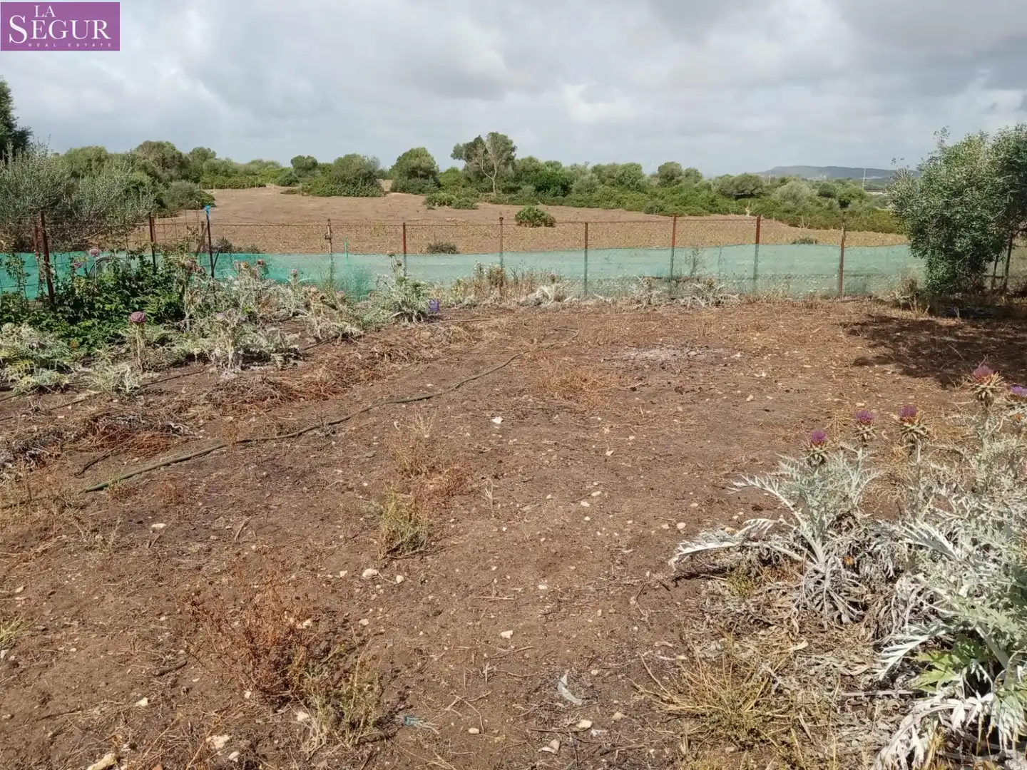 Maison rustique à vendre à Vejer, imagen 42