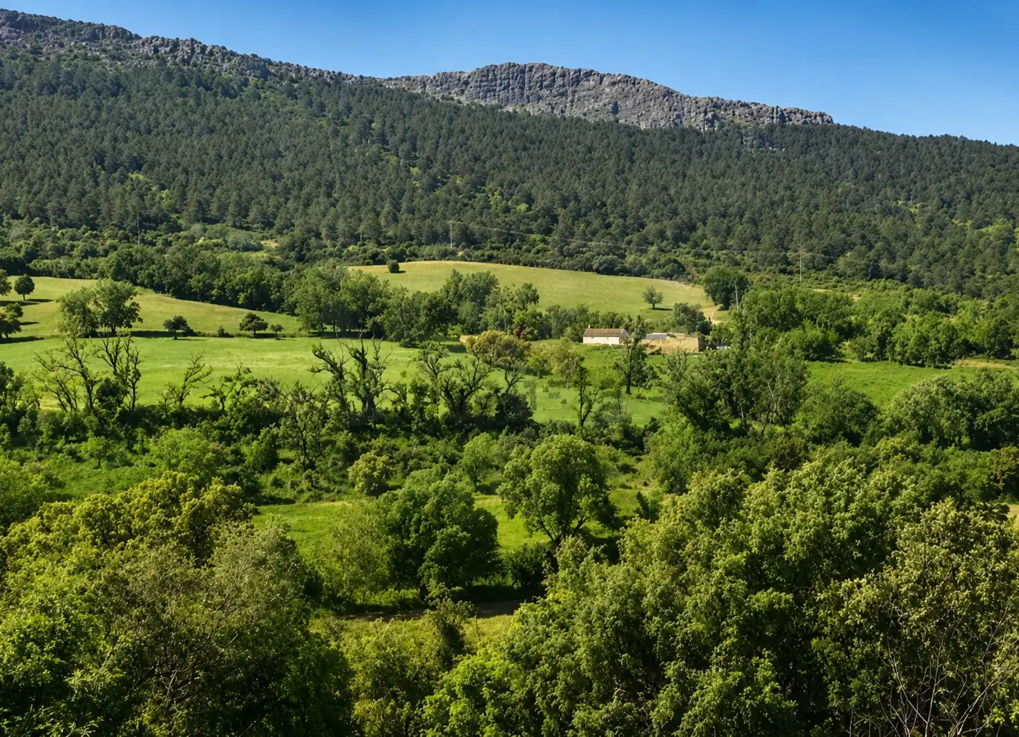 Rural land for sale in Navahermosa, imagen 27