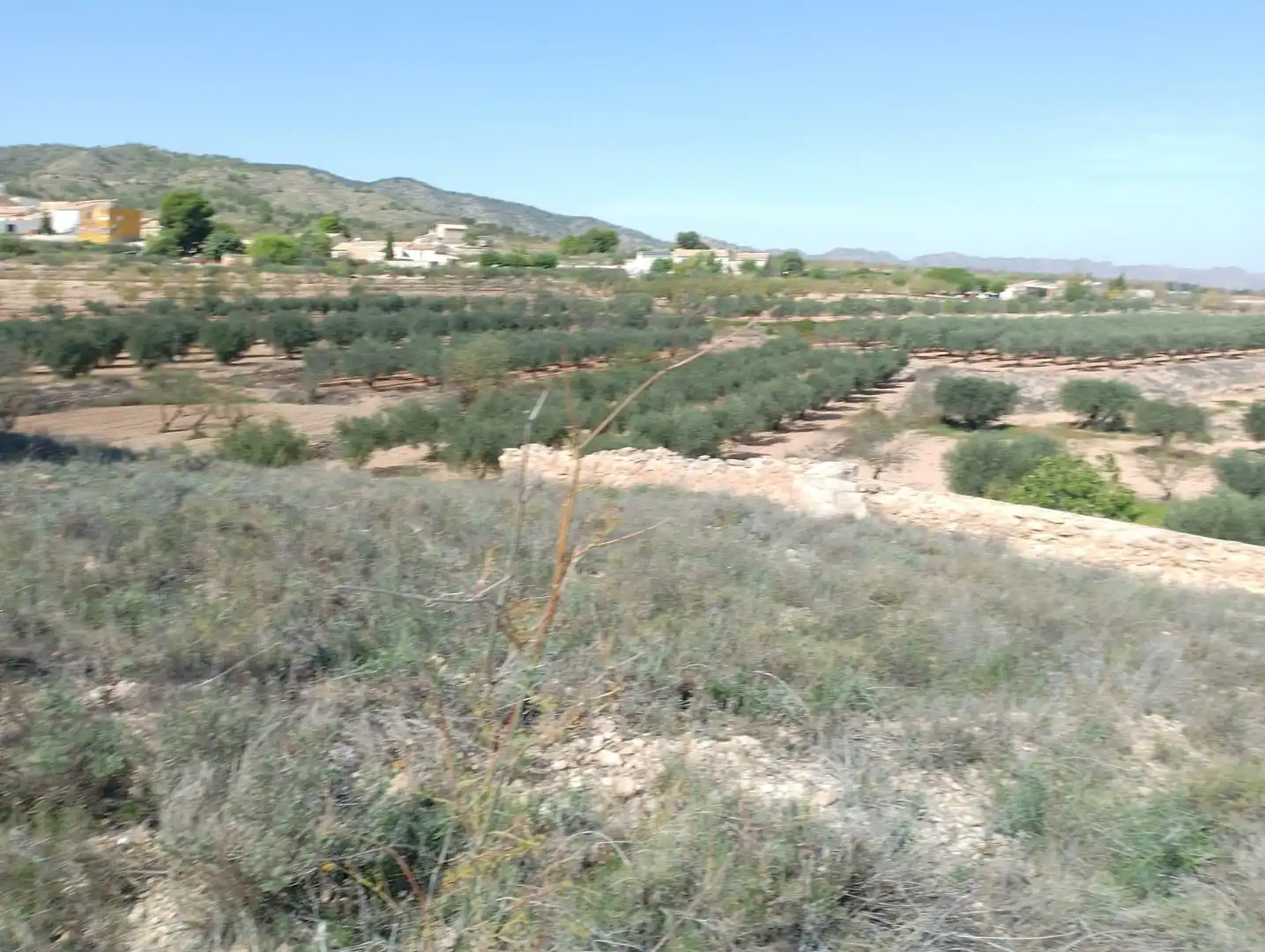 Finca rústica en venda en Yecla