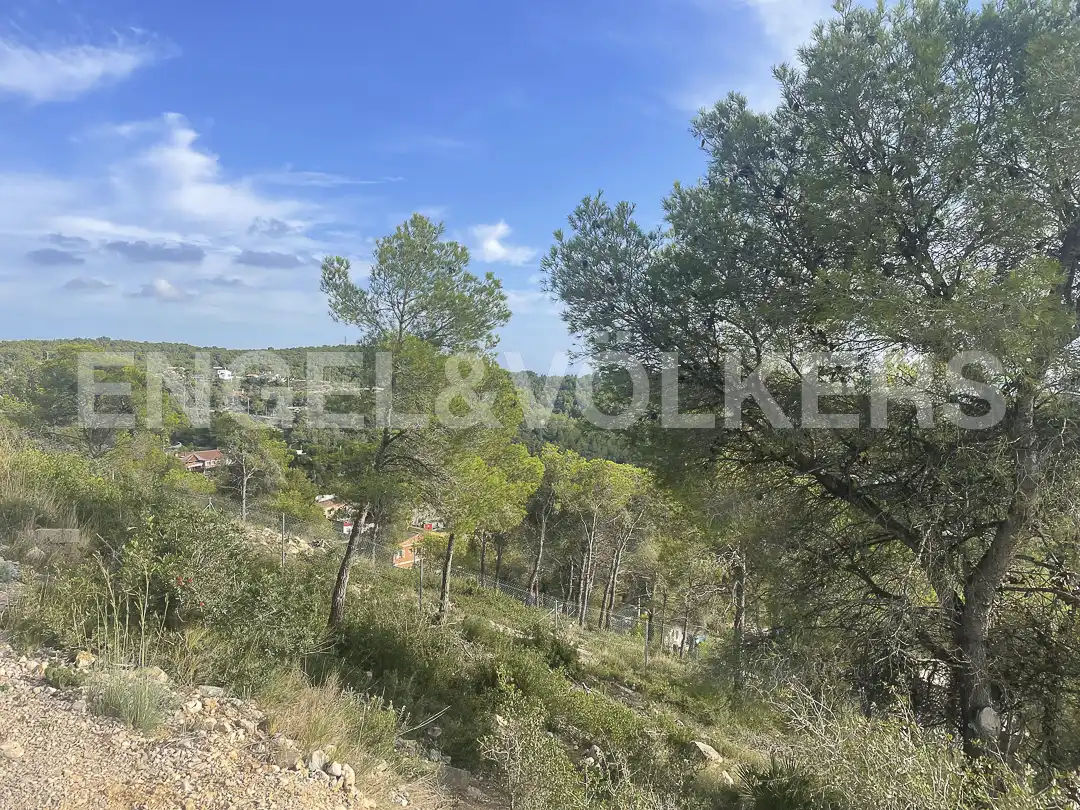 Terreno residencial en venta en Avinguda les Palmeres, imagen 6