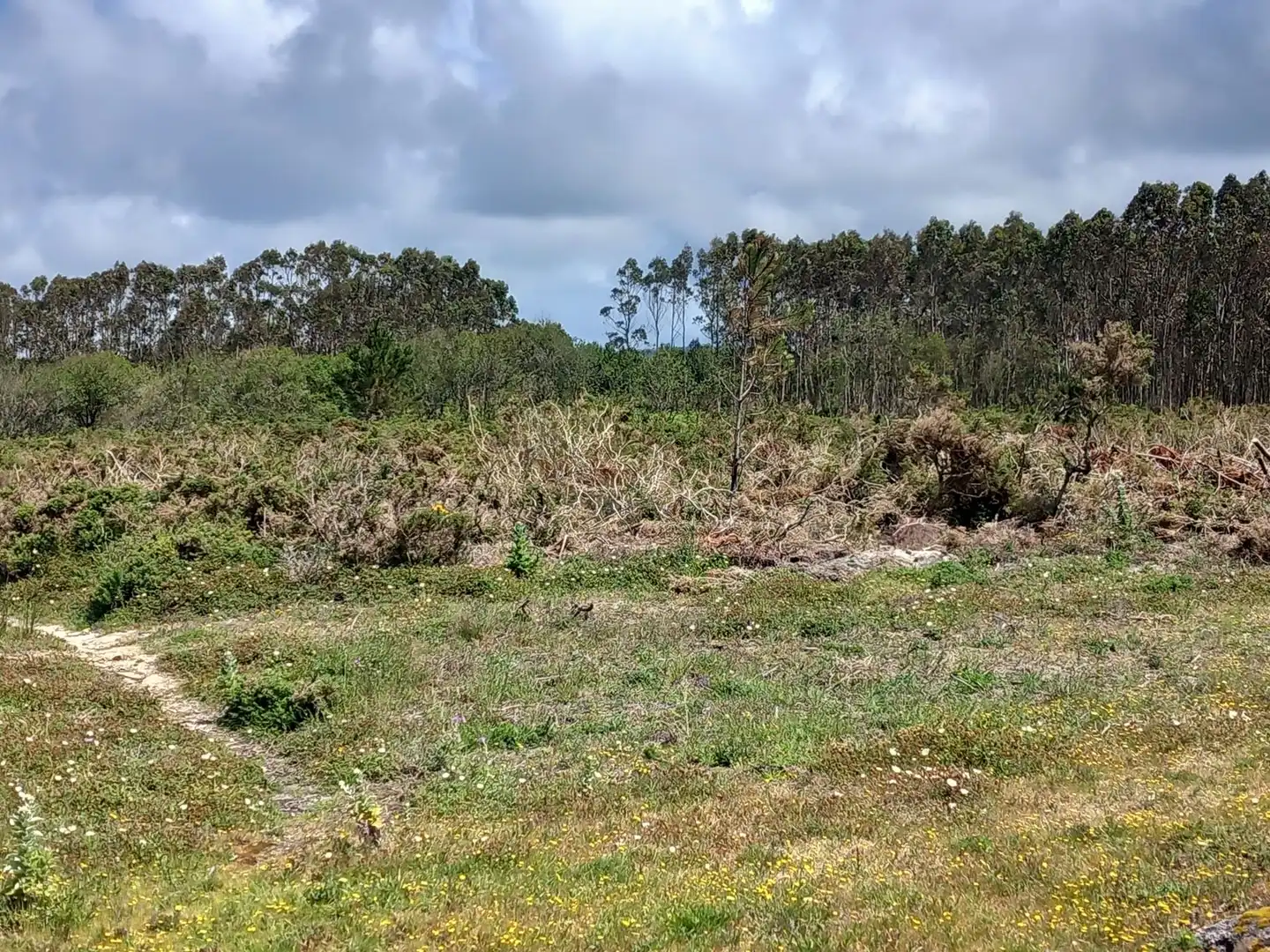 Land for sale in Ribeira