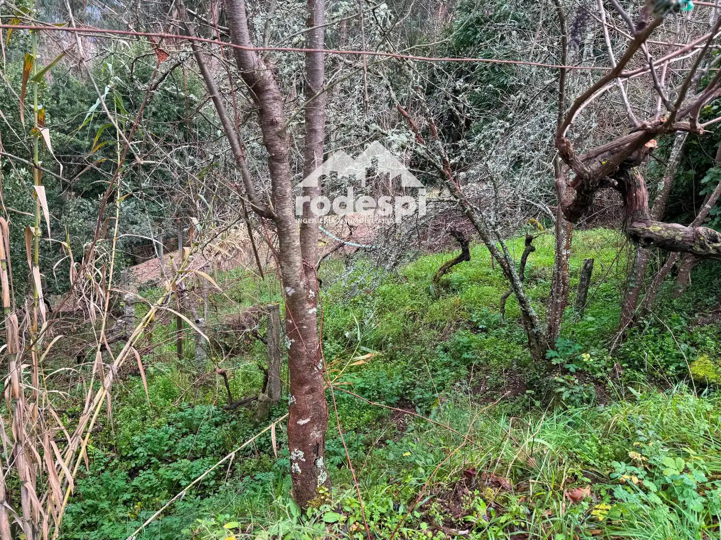 Casa o chalet en venta en Arbo