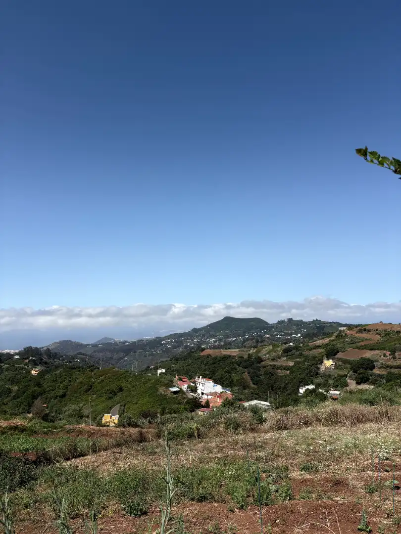 Vista exterior de Casa adosada en venta en Moya (Las Palmas) con Terraza