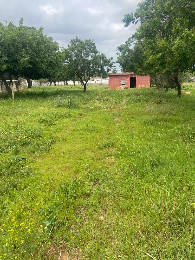 Terrenys i solars en venda a Los Franceses – La Vega, imagen 4