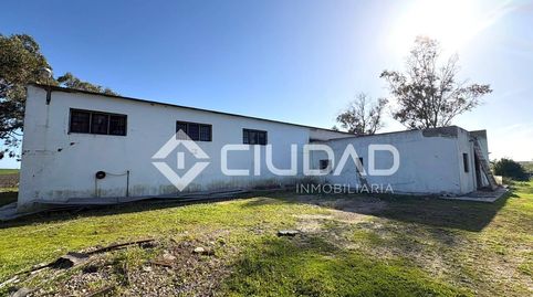 Foto 4 de Finca rústica en venta en Ctra Jerez - Ctra del Puerto, Sanlúcar de Barrameda