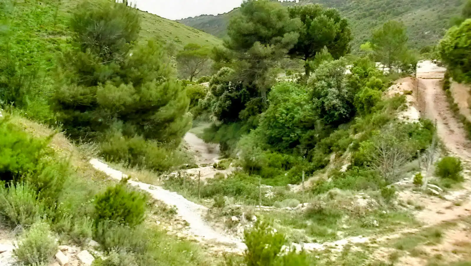 Rustikales Grundstück zum Verkauf in Camino Partida Foyetes, imagen 2