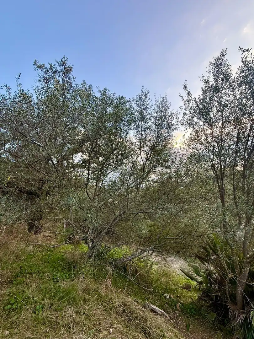 Casa en venda a Almodóvar del Río, imagen 16