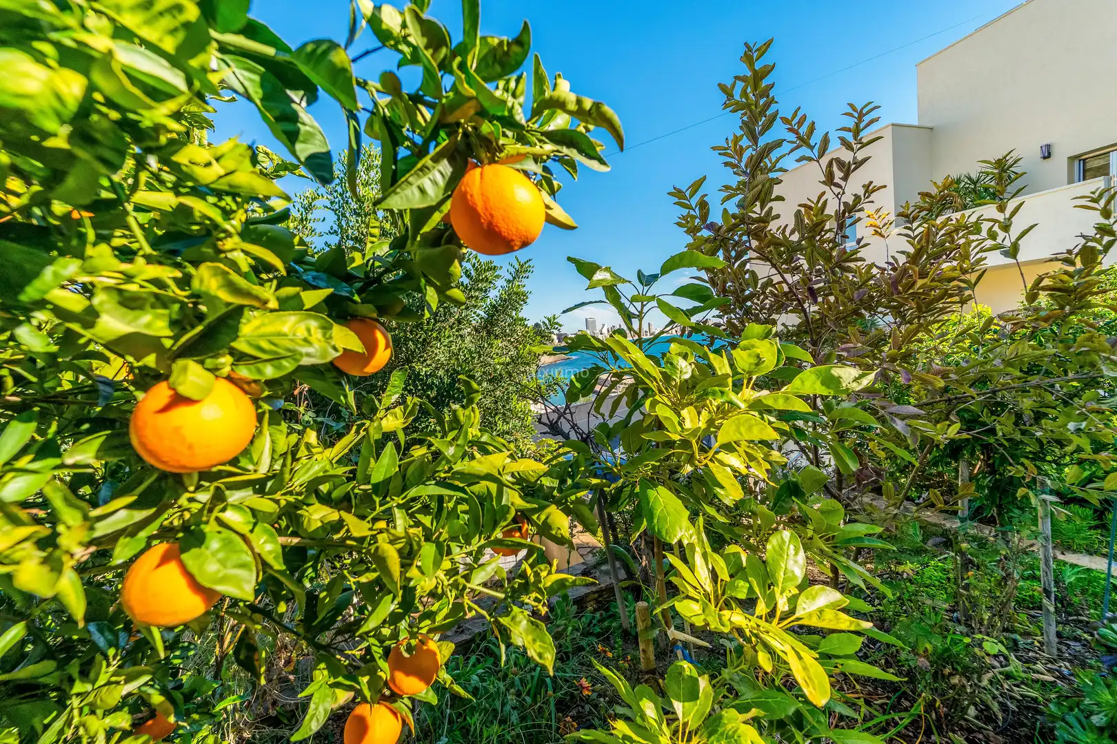 Jardín de Casa o chalet en venta en Calpe / Calp con Aire acondicionado, Terraza y Trastero