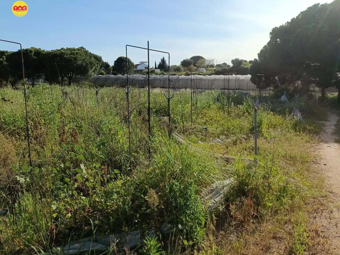 Maison à vendre à Lepe, imagen 25