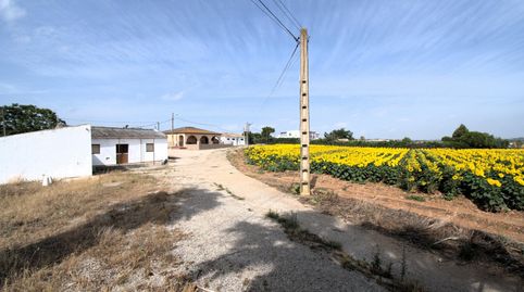 Foto 2 de Finca rústica en venda a Parque Atlántico - Ronda este, Jerez de la Frontera