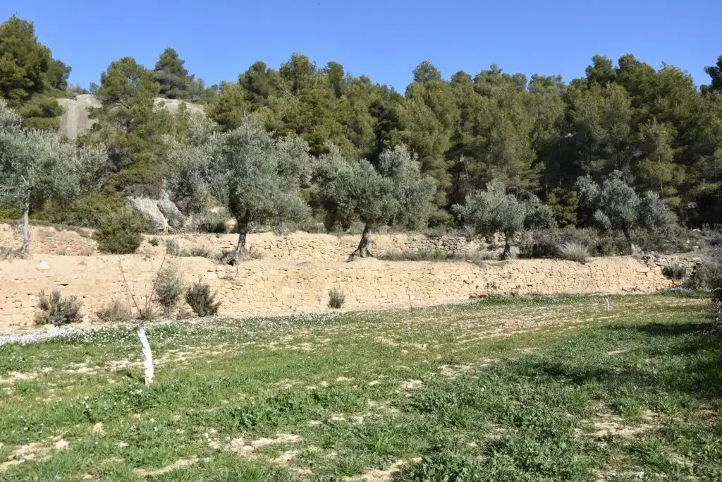 Country homes for sale in La Fresneda