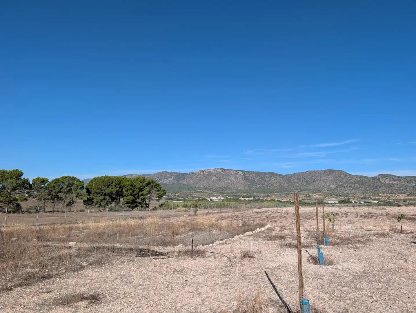 Country house with garden for sale in Salinas, imagen 44