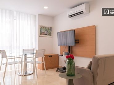 Appartamento in affitto a Barrio de Salamanca