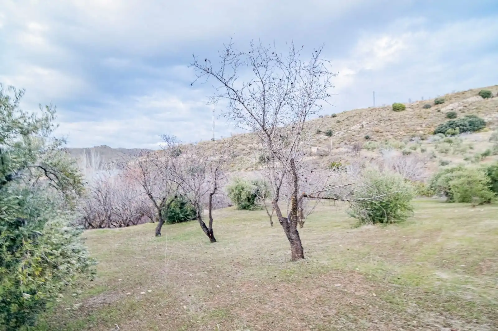 Mini appartamento in vendita a Pinos Genil, imagen 11
