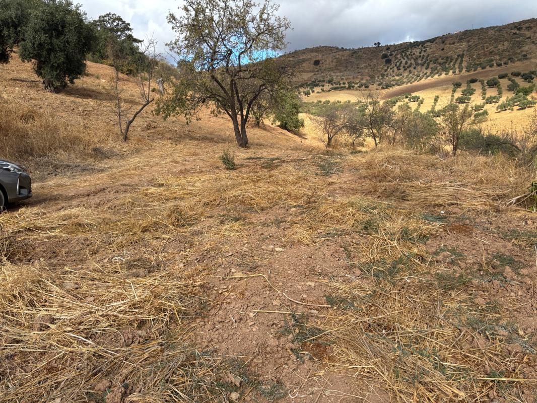 Terreno en venta en Diseminado Poligono 1, 56, Casabermeja